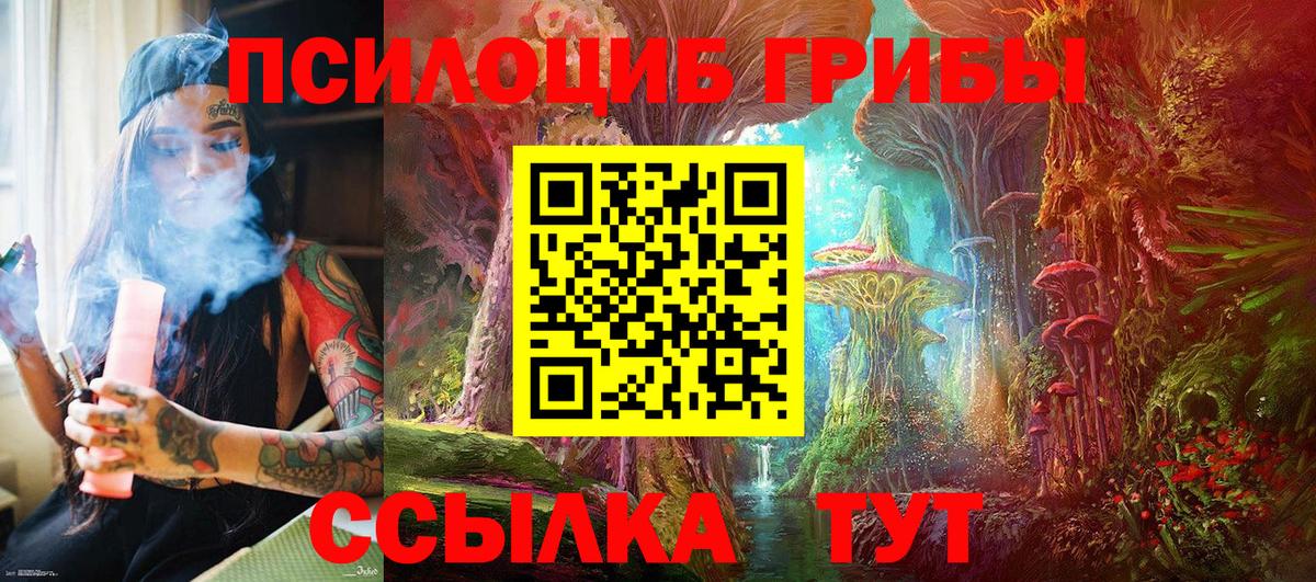 Краснокамск  Галлюциногенные грибы ЛСД  Вход с VPN 